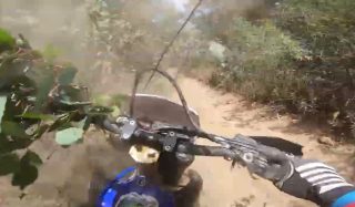 Just a trip through the bushes. https://youtu.be/xLIneo5Q6Wo?is=5zaztymIbVDr6xr0 if you’re seeing this on Instagram, the link is clickable on Facebook