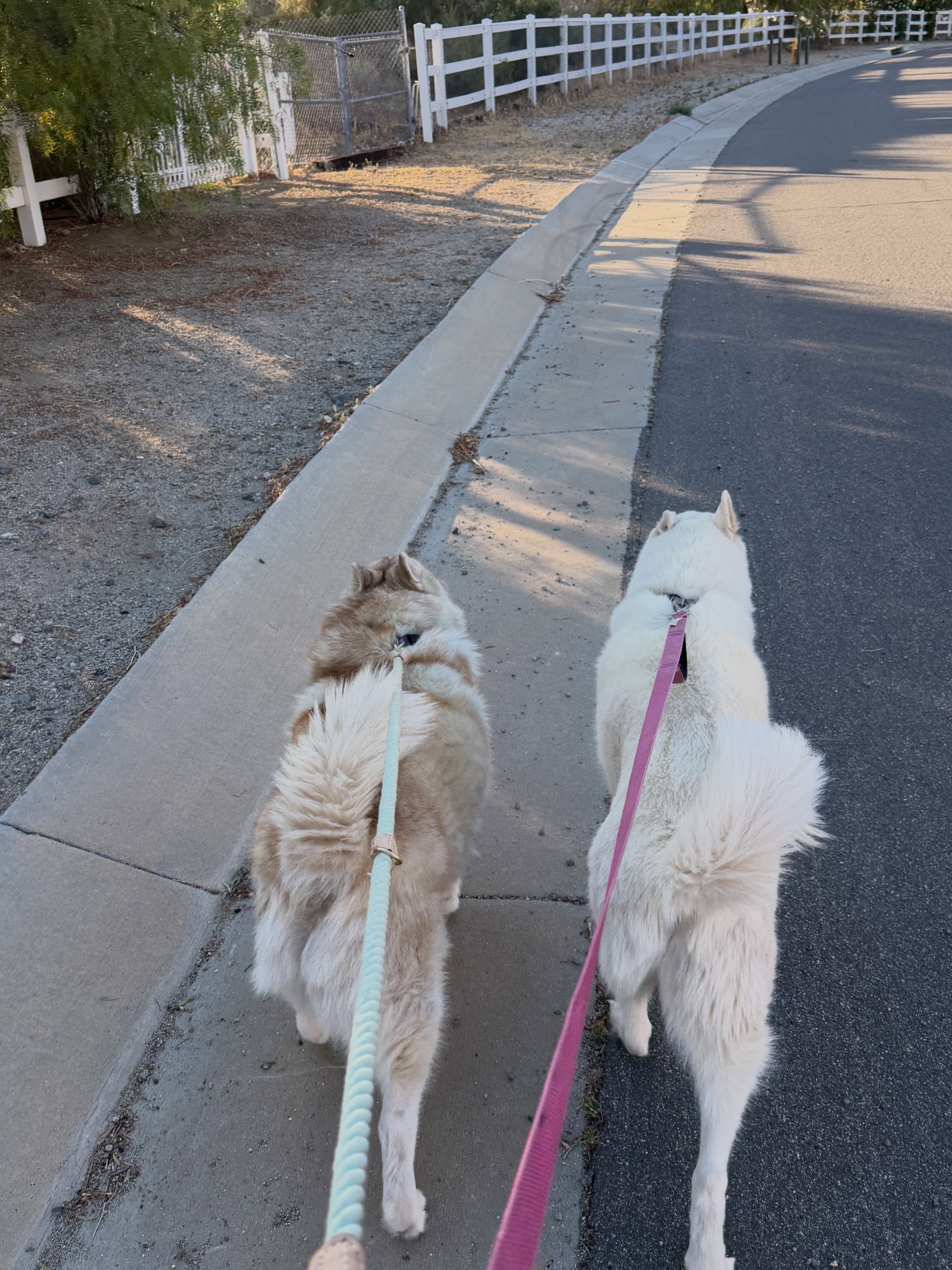 I was walking down the street when out the corner of my eye…